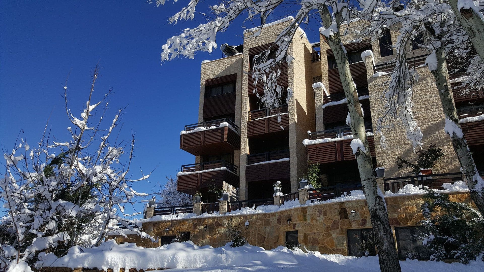 Welcome to Faraya Village Club